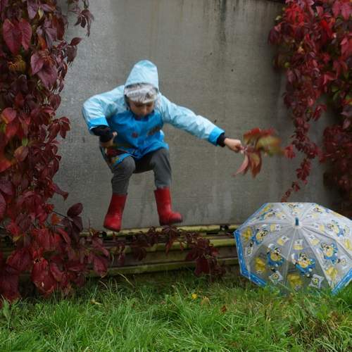 Photo #12629883