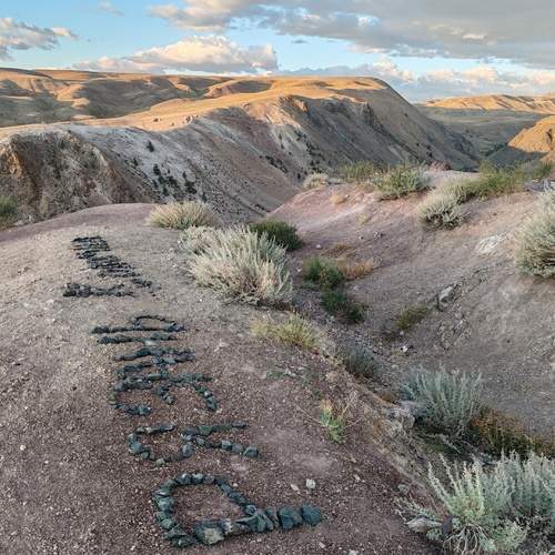 Photo #12630226