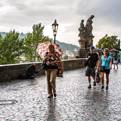 Photo #12630606