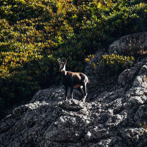 Photo #12630747