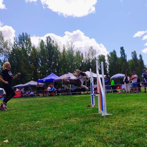 Photo #12630853