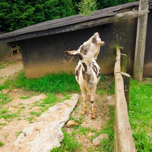 Photo #12630861