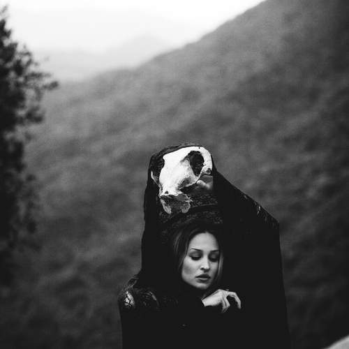Photo #12630881