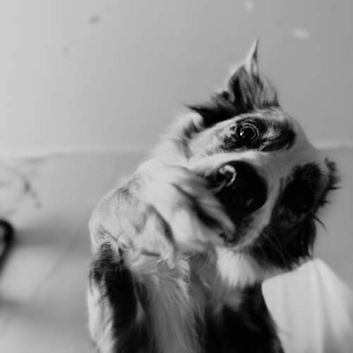 Photo #12631079