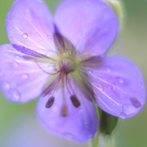 Photo #12631126