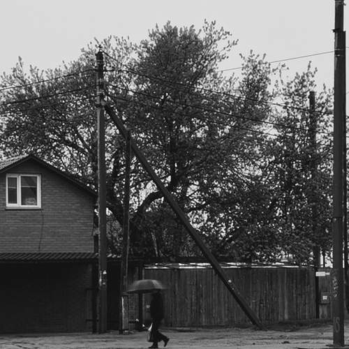 Photo #12631428