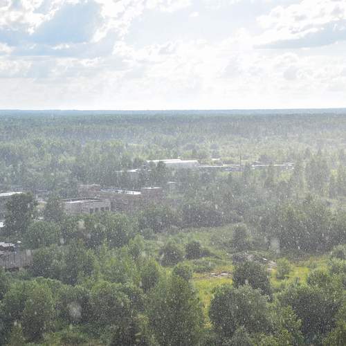 Photo #12631512
