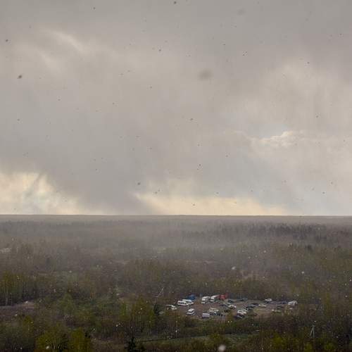 Photo #12631513