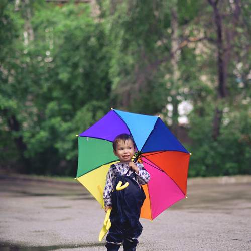 Photo #12631668
