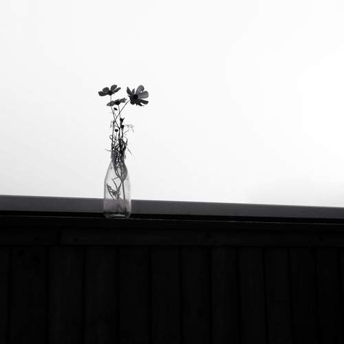 Bnw summer