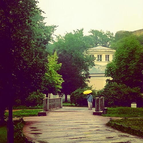 Photo #12632474
