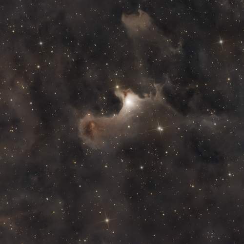 Photo #12632785