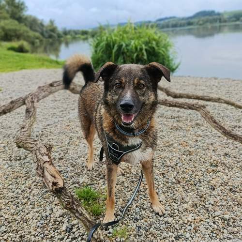 Photo #12632846