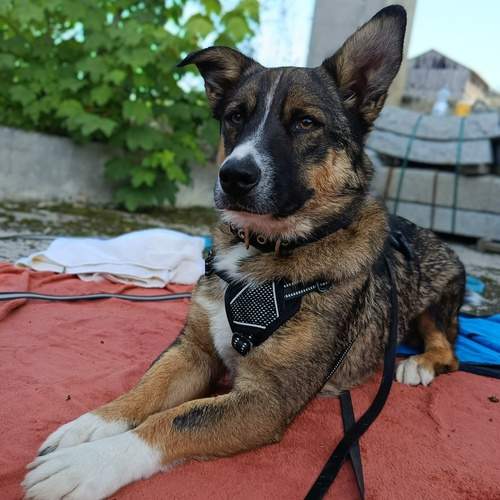 Photo #12632849