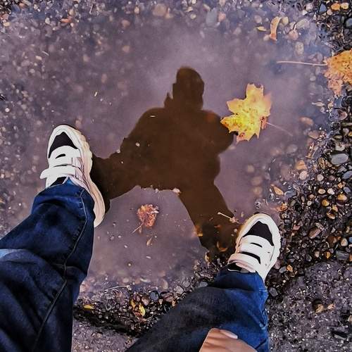 Photo #12632875