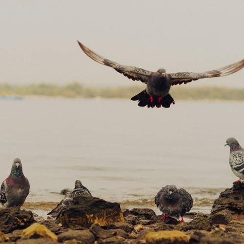 Photo #12633343