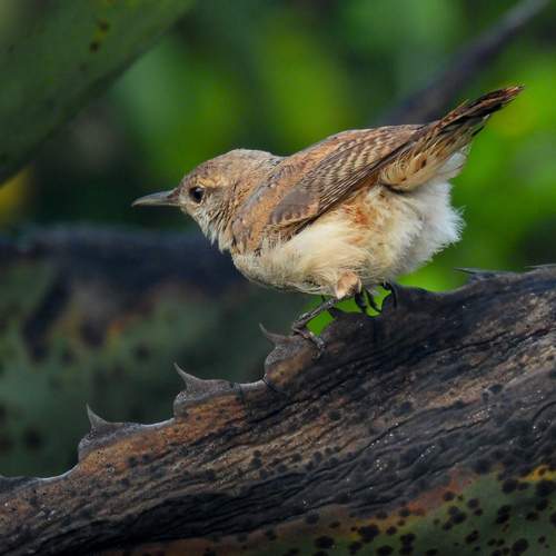 Photo #12633435