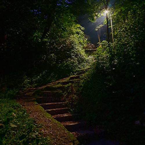 Photo #12633471