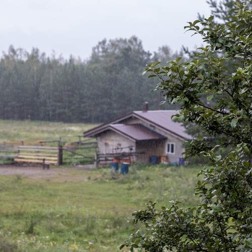 Photo #12633572