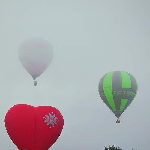 Photo #12633573