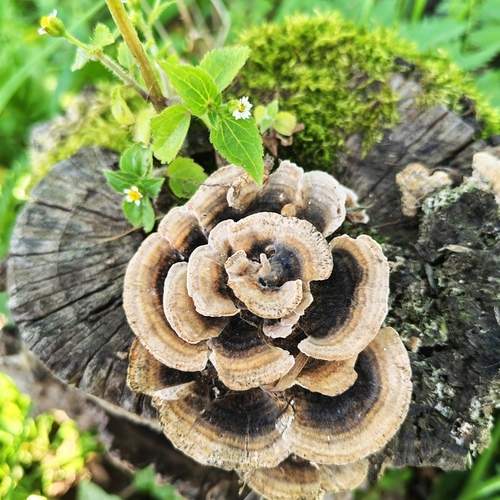 Photo #12633614