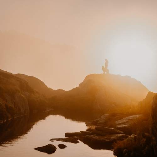Photo #12633757