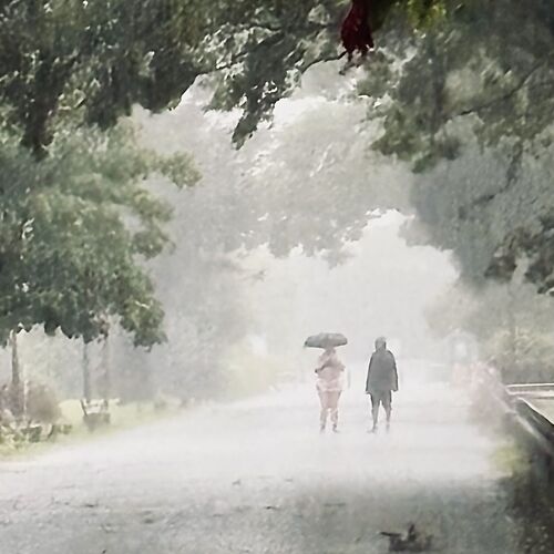 Photo #12634018