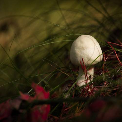 Photo #12634713