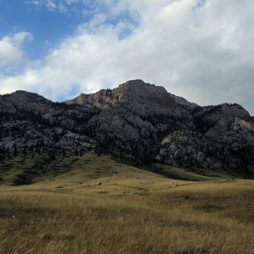Photo #12635146
