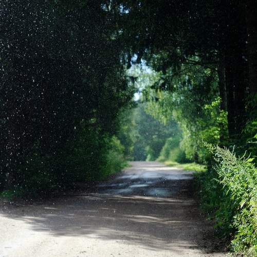 Photo #12635223
