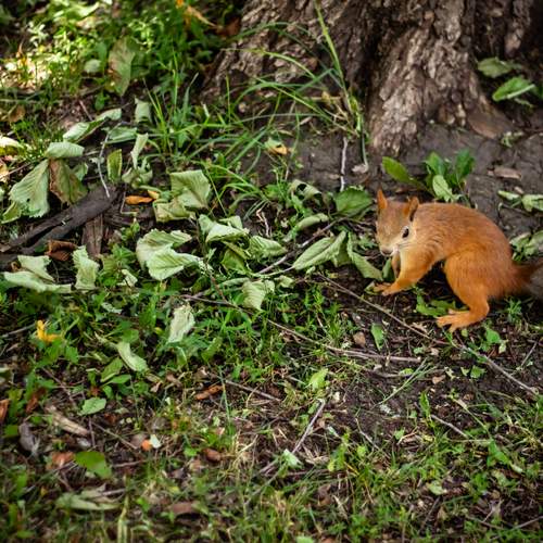 Photo #12635831