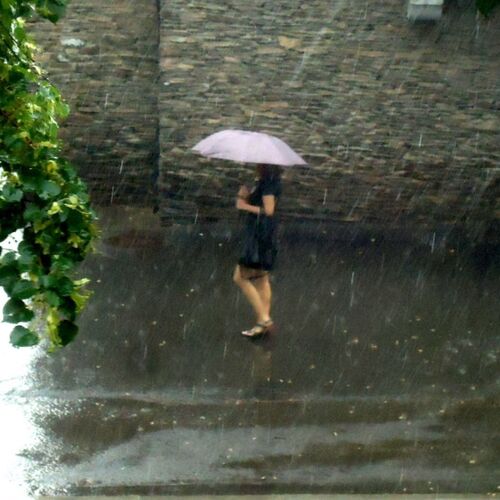 Photo #12636539