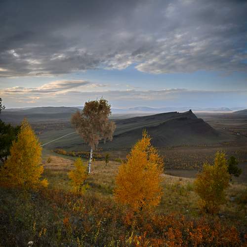 Photo #12636727