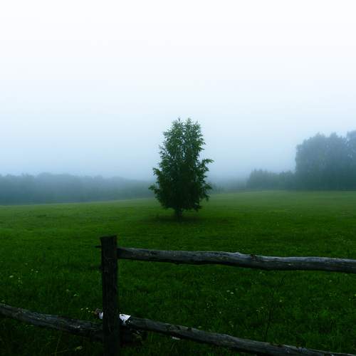 Photo #12636896