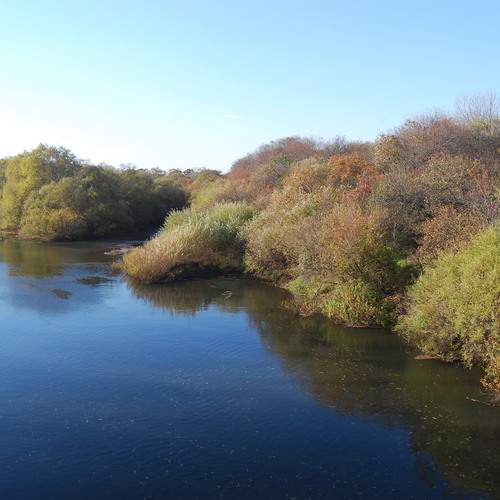 Photo #12636980