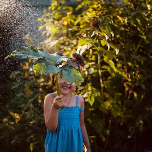 Photo #12637093