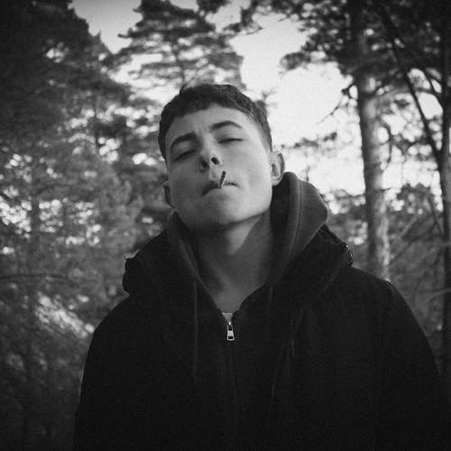 Photo #12637254