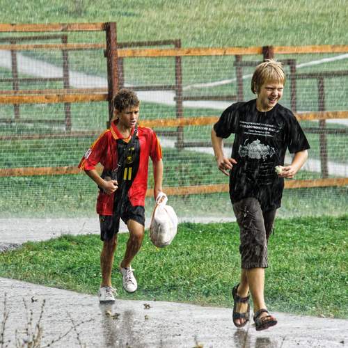 Photo #12637401