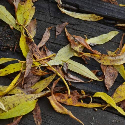 Photo #12637427
