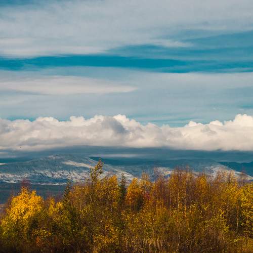 Photo #12637588