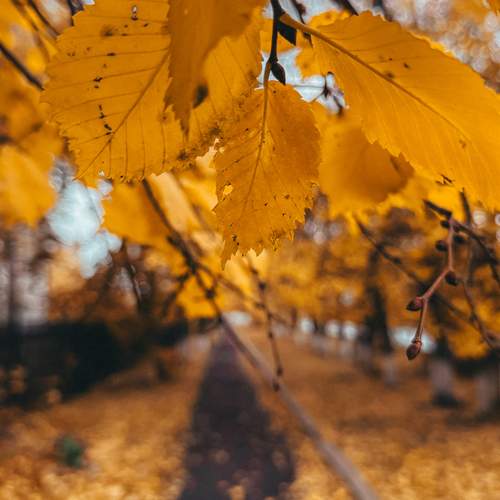 Photo #12637793