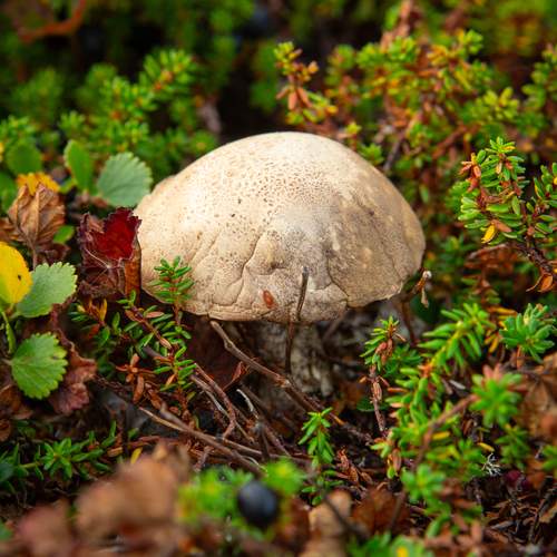 Photo #12638093