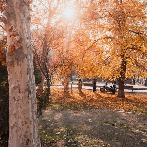 Photo #12638519