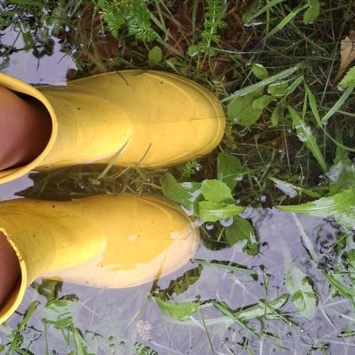 Photo #12639226