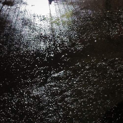 Photo #12639402