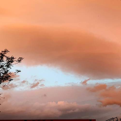 Photo #12639501