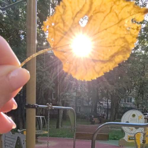 Photo #12639543