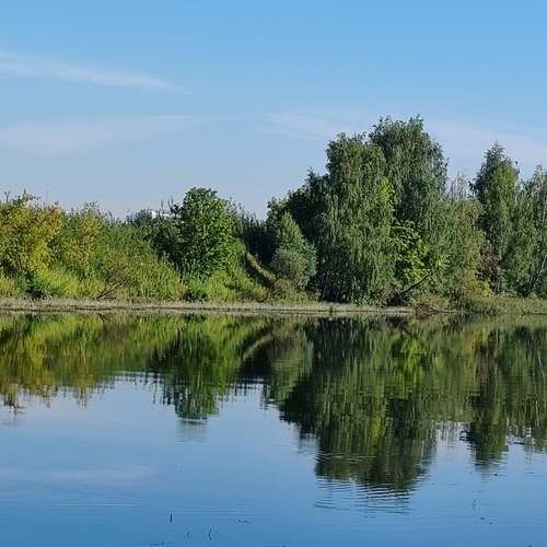 Photo #12639545