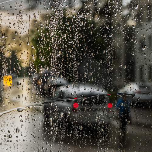 Photo #12639686