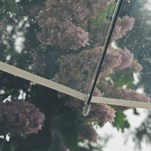 Photo #12640197